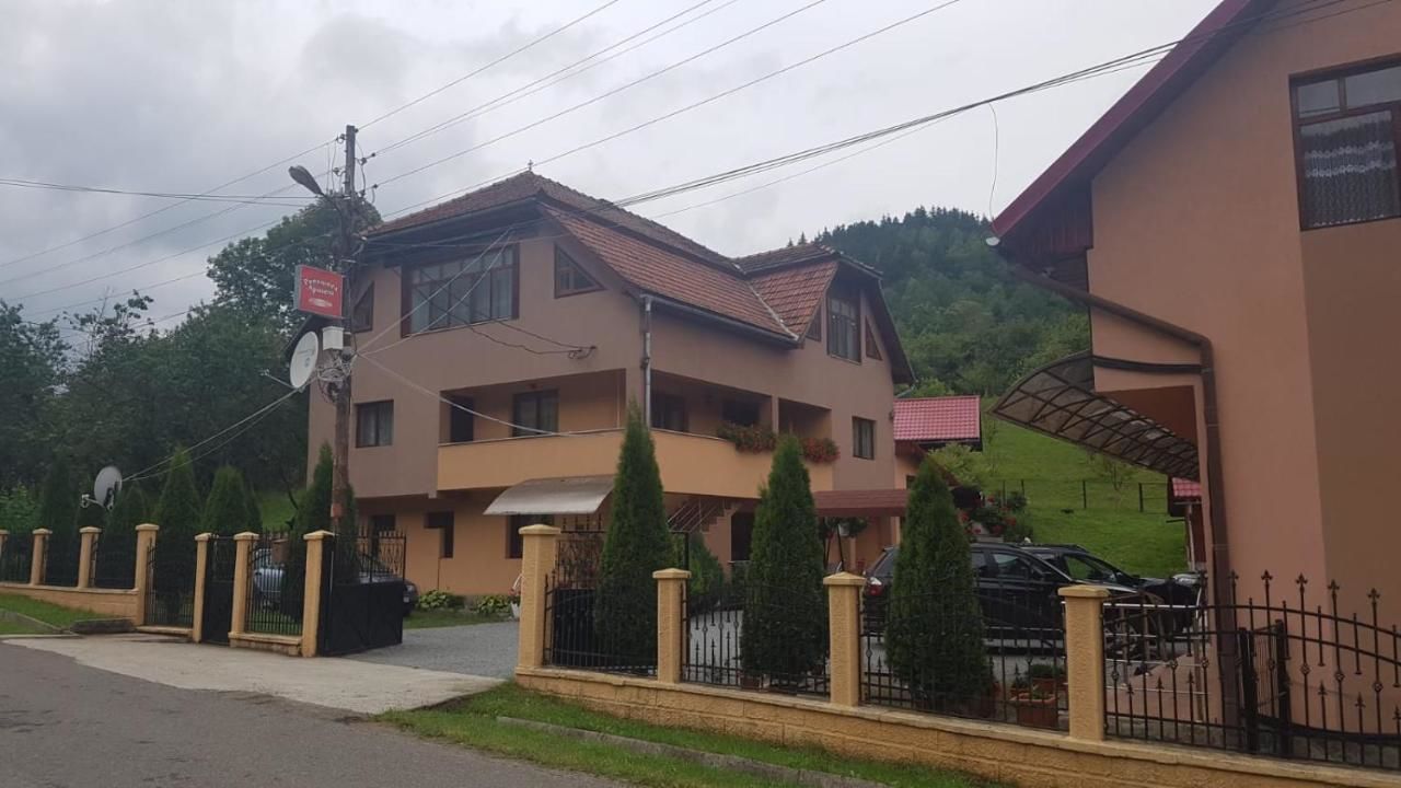 Гостевой дом Pensiunea Apuseni Vidra-42